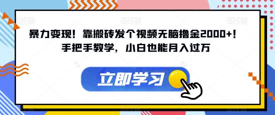 暴力变现！靠搬砖发个视频无脑撸金2000+！手把手教学，小白也能月入过万【揭秘】-kk网创