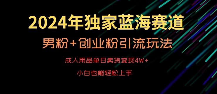 2024年独家蓝海赛道，成人用品单日卖货变现4W+，男粉+创业粉引流玩法，不愁搞不到流量【揭秘】-kk网创