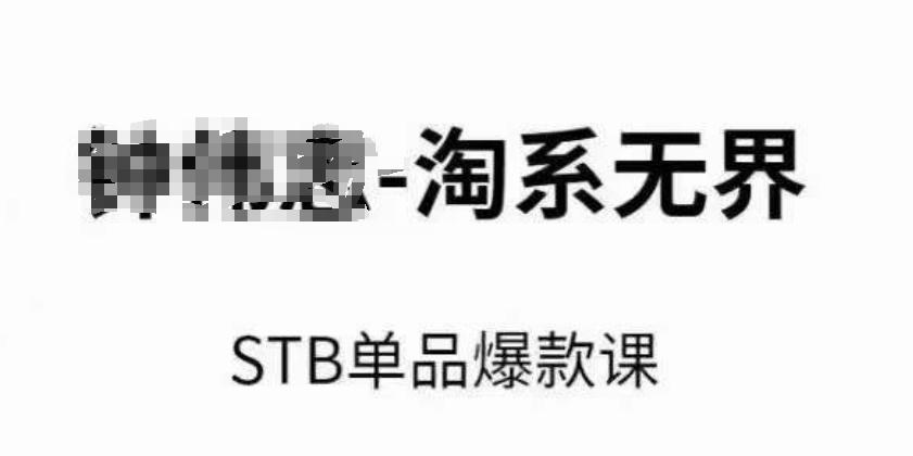 淘系无界STB单品爆款课(2024)，付费带动免费的核心逻辑，万相台无界关键词推广/精准人群的核心-kk网创