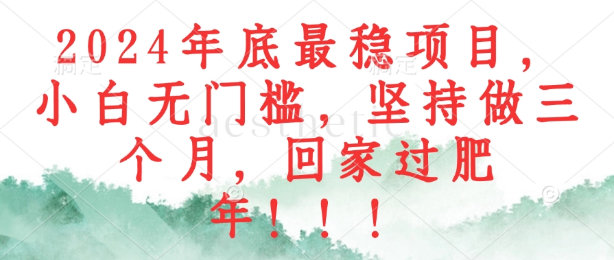 2024年底最稳项目，小白无门槛，坚持做三个月，回家过肥年！！！-kk网创