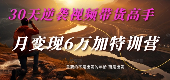 30天逆袭视频带货高手，单月变现6万加特训营-麦子甜-kk网创