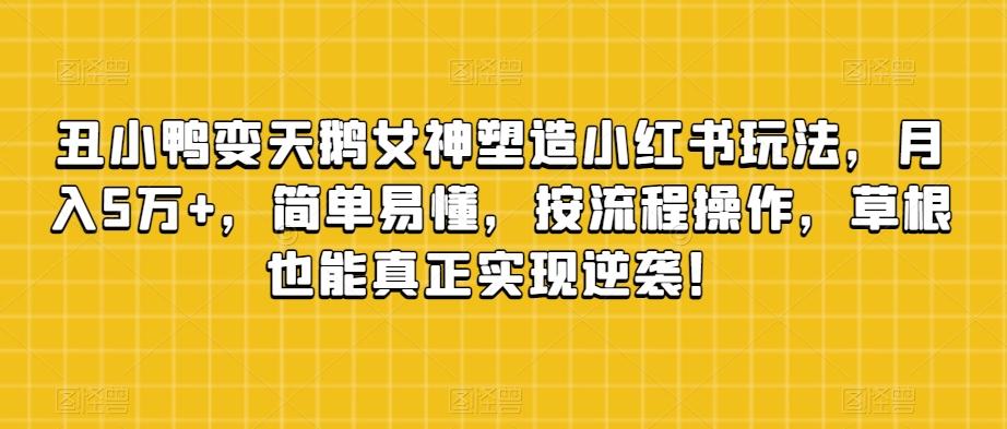 丑小鸭变天鹅女神塑造小红书玩法，月入5万+，简单易懂，按流程操作，草根也能真正实现逆袭！-kk网创