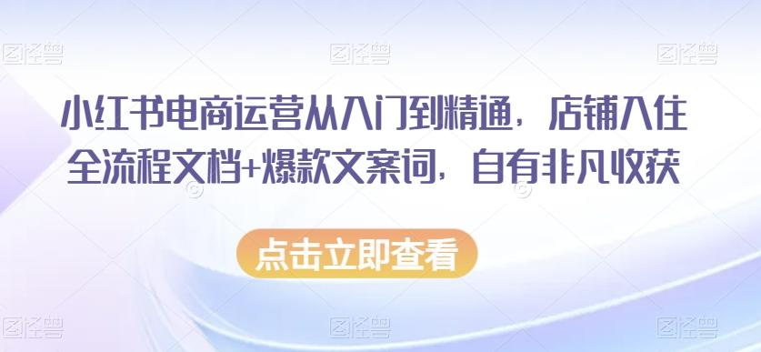 小红书电商运营从入门到精通，店铺入住全流程文档+爆款文案词，自有非凡收获-kk网创