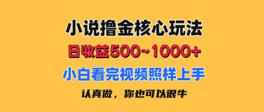 小说撸金核心玩法，日收益500-1000+，小白看完照样上手，0成本有手就行-kk网创