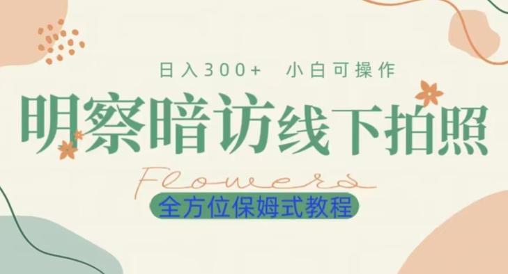 明拍暗拍项目0成本投入日入300+小白可操作保姆式全方位教程-kk网创