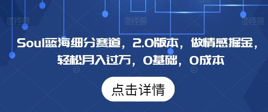 Soul蓝海细分赛道，2.0版本，做情感掘金，轻松月入过万，0基础，0成本-kk网创