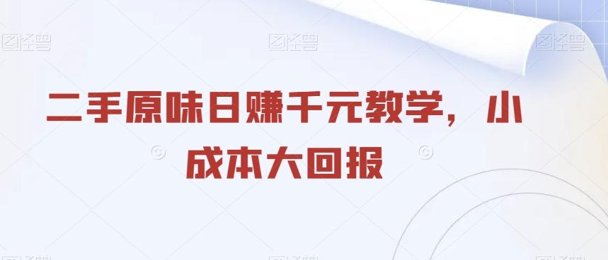 二手原味日赚千元教学，小成本大回报-kk网创