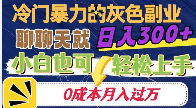 冷门暴利的副业项目，聊聊天就能日入300+，0成本月入过万【揭秘】-kk网创