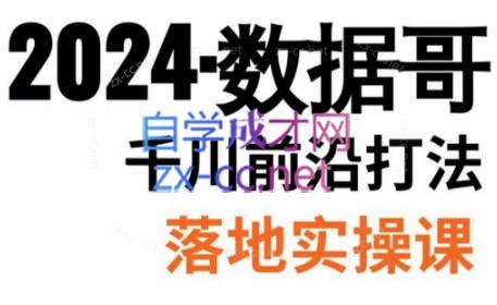 数据哥·2024年千川前沿打法落地实操课-kk网创