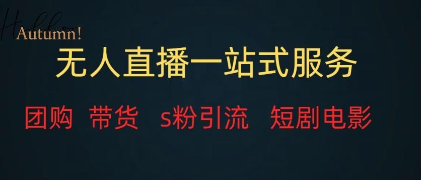 无人直播一站式服务（教程以及变现方式）-kk网创
