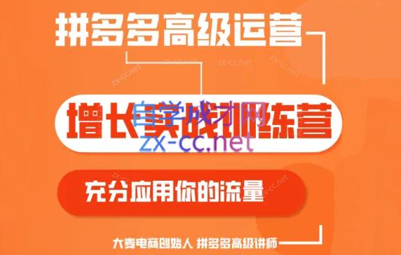 大麦老师·拼多多单品爆款打造课程(更新6月)-kk网创