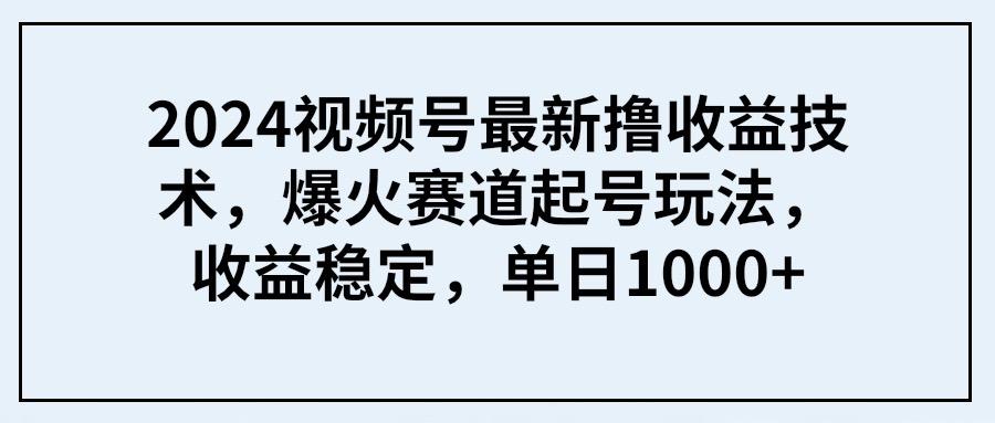 (9651期) 2024视频号最新撸收益技术，爆火赛道起号玩法，收益稳定，单日1000+-kk网创