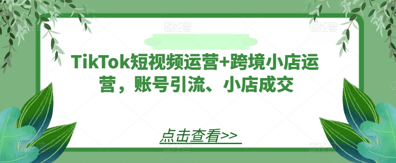 TikTok短视频运营+跨境小店运营，账号引流、小店成交-kk网创