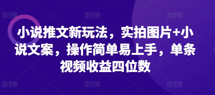 小说推文新玩法，实拍图片+小说文案，操作简单易上手，单条视频收益四位数-kk网创