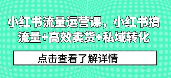 小红书流量运营课，小红书搞流量+高效卖货+私域转化-kk网创
