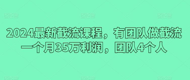 2024最新截流课程，有团队做截流一个月35万利润，团队4个人-kk网创