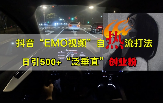 抖音EMO视频自热打法，日引500+“泛垂直”创业粉-kk网创