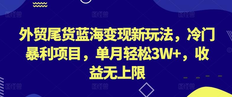 外贸尾货蓝海变现新玩法，冷门暴利项目，单月轻松3W+，收益无上限【揭秘】-kk网创