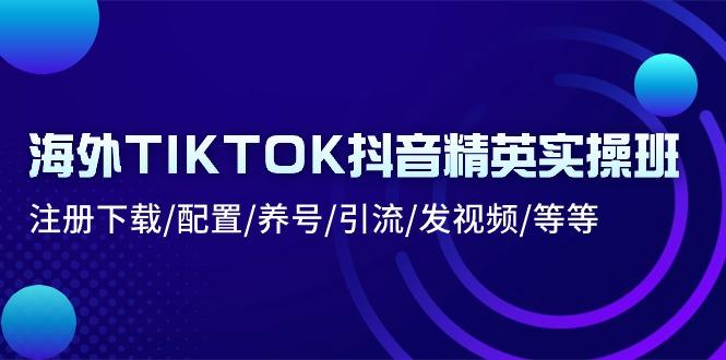 海外TIKTOK抖音精英实操班：注册下载/配置/养号/引流/发视频/等等-kk网创