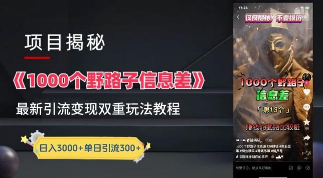 一千个野路子信息差最新玩法教程-变现+引流的玩法具体拆解【揭秘】-kk网创
