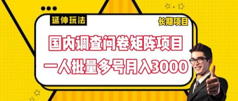 国内调查问卷矩阵项目，一人批量多号月入3000【揭秘】-kk网创