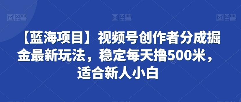 【蓝海项目】视频号创作者分成掘金最新玩法，稳定每天撸500米，适合新人小白【揭秘】-kk网创