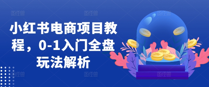 小红书电商项目教程，0-1入门全盘玩法解析-kk网创