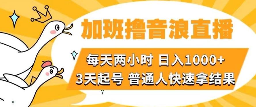 加班撸音浪直播，每天两小时，日入1000+，直播话术才3句，3天起号，普通人快速拿结果【揭秘】-kk网创