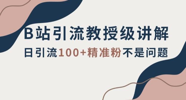 B站引流教授级讲解，细节满满，日引流100+精准粉不是问题【揭秘】-kk网创