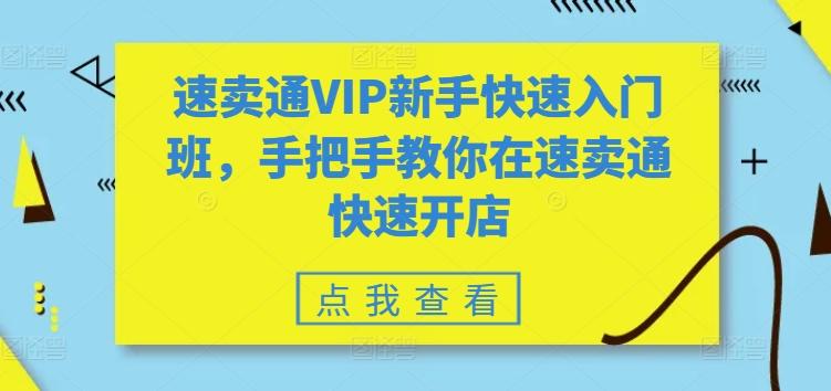 速卖通VIP新手快速入门班，手把手教你在速卖通快速开店-kk网创