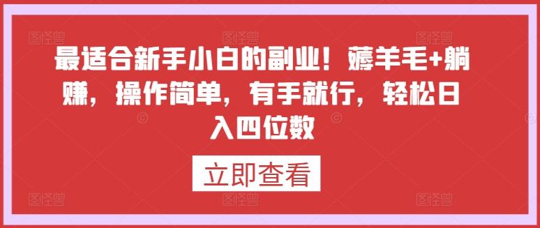 最适合新手小白的副业！薅羊毛+躺赚，操作简单，有手就行，轻松日入四位数【揭秘】-kk网创