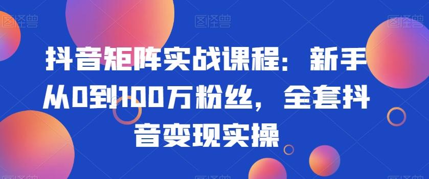 抖音矩阵实战课程：新手从0到100万粉丝，全套抖音变现实操-kk网创