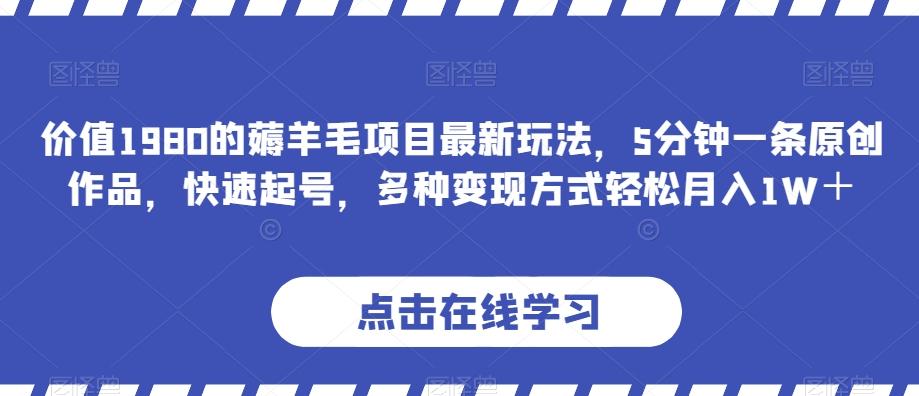 价值1980的薅羊毛项目最新玩法，5分钟一条原创作品，快速起号，多种变现方式轻松月入1W＋【揭秘】-kk网创