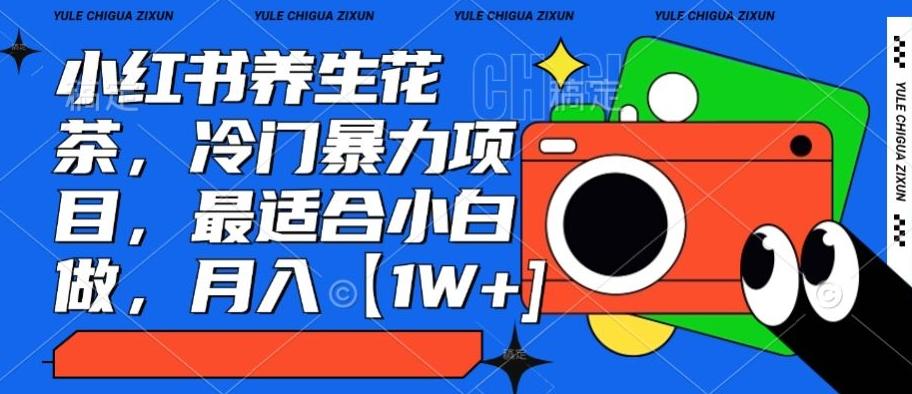 小红书养生花茶，冷门暴力项目，最适合小白做，月入【1W+】-kk网创