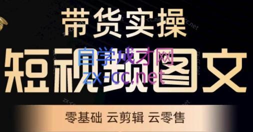 鑫哥·2024零基础短视频带货实操营-kk网创