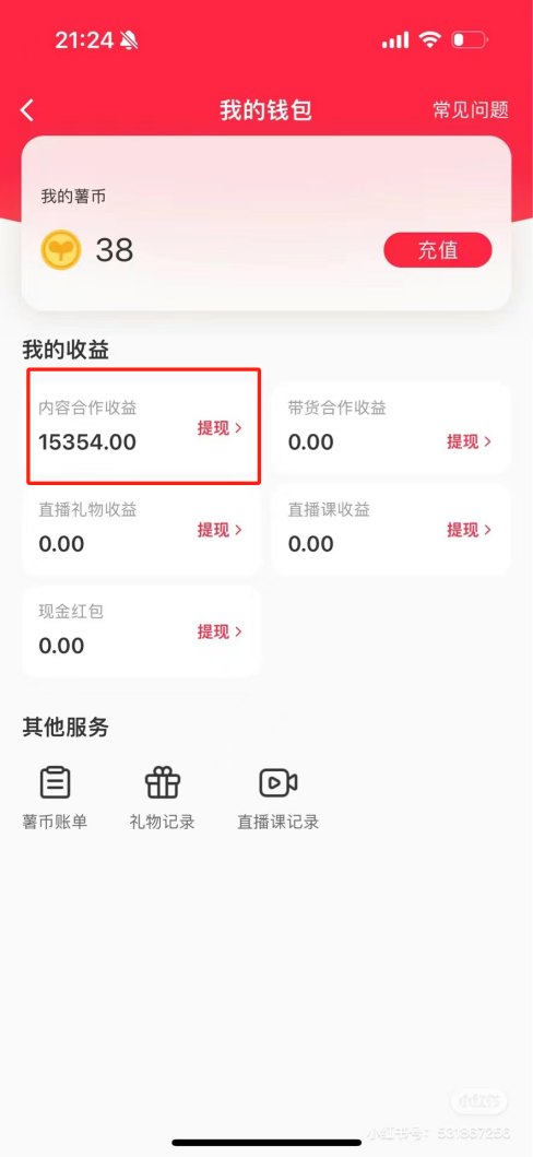 热门评论引爆小红书流量，作品制作简单，广告接到手软，月入过万不是梦-kk网创