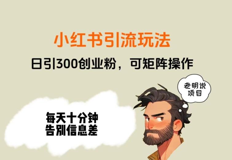 靠小红书视频日印300粉，两分钟一个视频轻松矩阵-kk网创