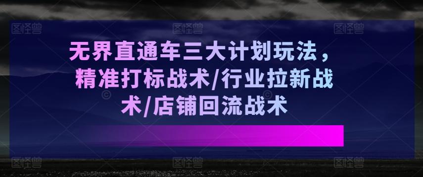 无界直通车三大计划玩法，精准打标战术/行业拉新战术/店铺回流战术-kk网创