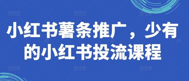 小红书薯条推广，少有的小红书投流课程-kk网创