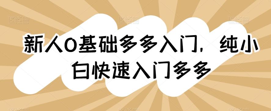新人0基础多多入门，​纯小白快速入门多多-kk网创