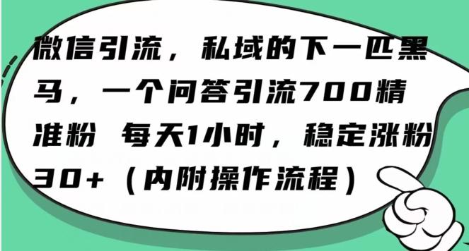 怎么搞精准创业粉？微信新赛道，每天一小时，利用Ai一个问答日引100精准粉-kk网创