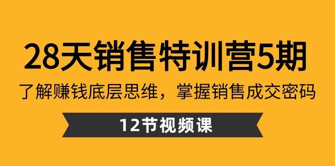 28天销售特训营5期：了解赚钱底层思维，掌握销售成交密码（12节课）-kk网创