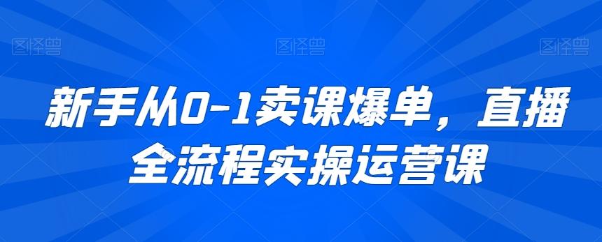 新手从0-1卖课爆单，直播全流程实操运营课-kk网创