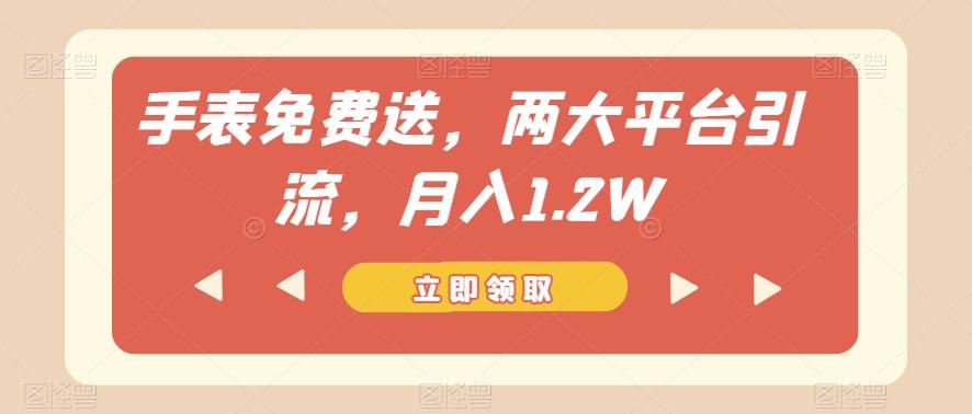 手表免费送，两大平台引流，月入1.2W【揭秘】-kk网创
