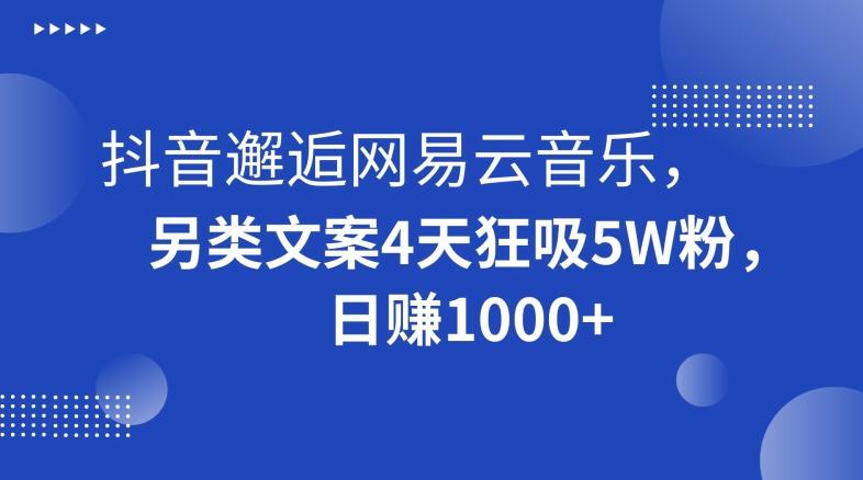 抖音邂逅网易云音乐，另类文案4天狂吸5W粉，日赚1000+【揭秘】-kk网创