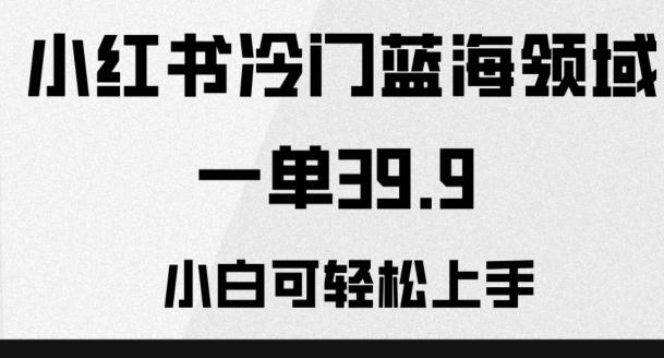 小红书冷门蓝海领域，一单39.9，小白可轻松上手-kk网创