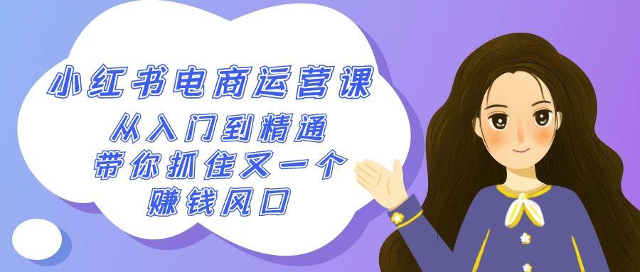 2024小红书电商运营课，从入门到精通，带你抓住又一个赚钱风口(50节课)-kk网创