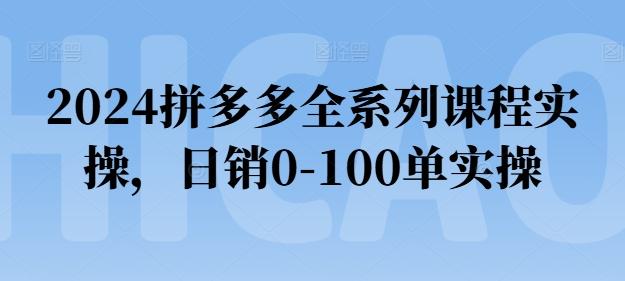 2024拼多多全系列课程实操，日销0-100单实操【必看】-kk网创