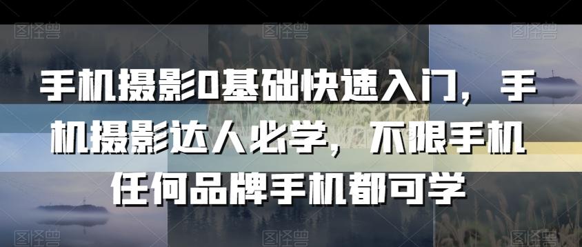 手机摄影0基础快速入门，手机摄影达人必学，不限手机任何品牌手机都可学-kk网创
