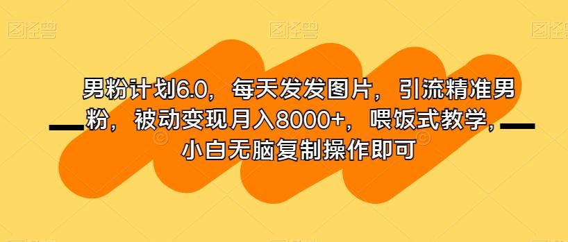 男粉计划6.0，每天发发图片，引流精准男粉，被动变现月入8000+，喂饭式教学，小白无脑复制操作即可-kk网创